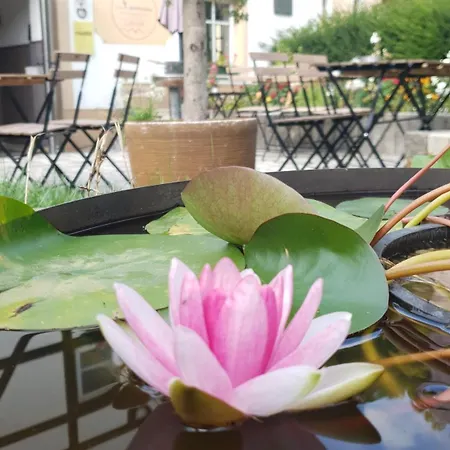 Gasthuis Gaestehaus Stadtschaenke Liebstadt