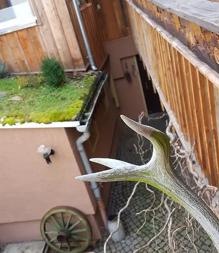 Pensionat Gaestehaus Stadtschaenke 3*